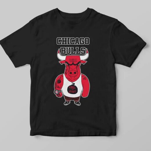 Повсякденна Футболка PrintBro з принтом Chicago bulls