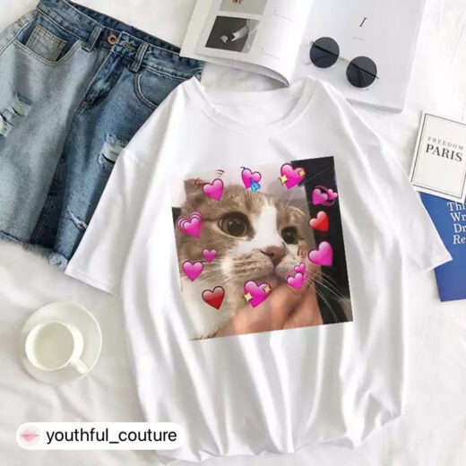 Жіноча стильна оверсайз Футболка PrintBro з котиками