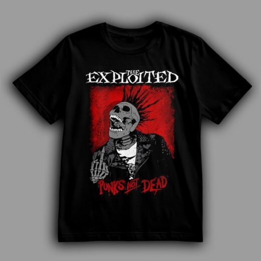 Футболка PrintBro The Exploited Відповідь критикам панк-року goodreclama