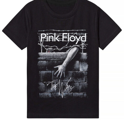 Футболка PrintBro Pink Floyd Art.018
