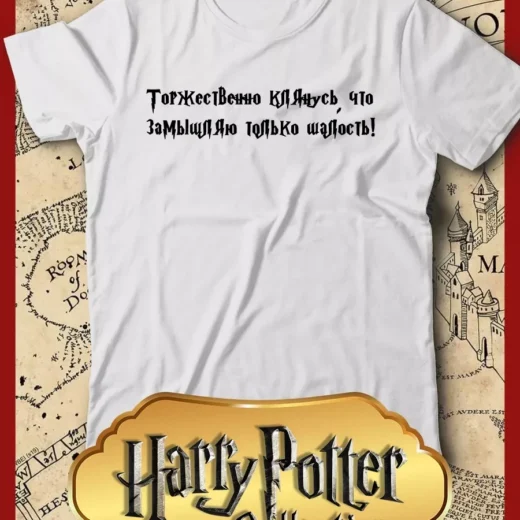 Футболка PrintBro Гарри Поттер unisex Art.005