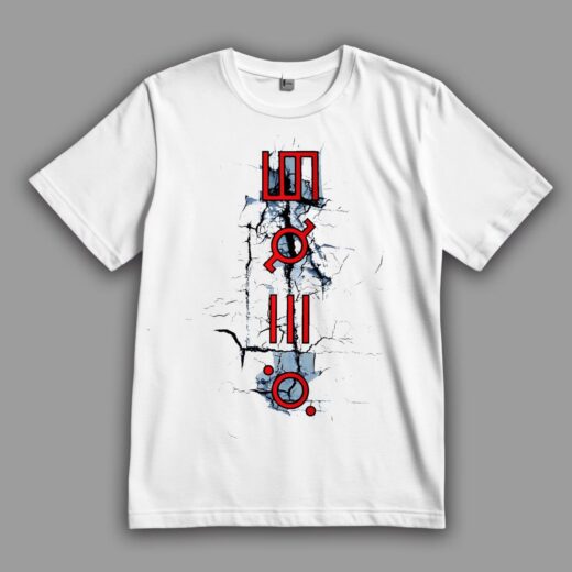 Футболка PrintBro 30 Seconds to Mars "Фенікс"