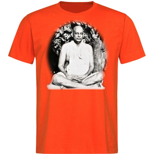 Футболка PrintBro Swami Sivananda Saraswati - yoga PG04290 goodreclama Помаранчевий (Orange)