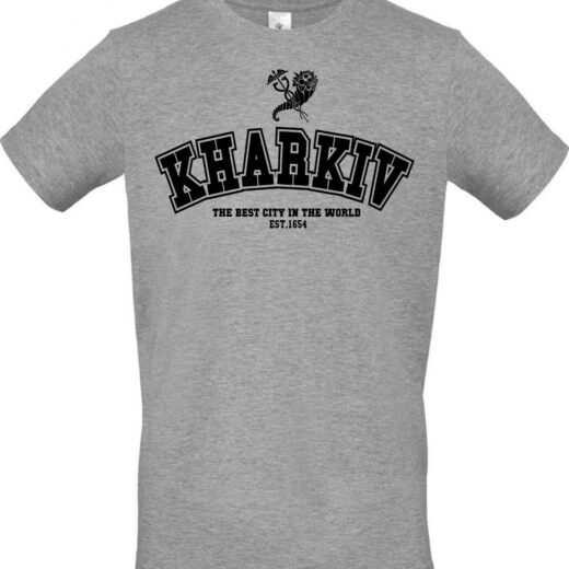 Футболка PrintBro Kharkiv the best city in the world PG065714 Сірий