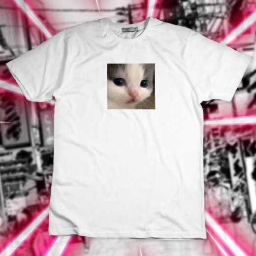Футболка PrintBro Котик Art.001