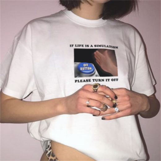 Футболка PrintBro If life is a simulation