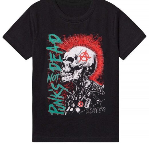 Рок футболка PrintBro Punk's Not Dead Art.004