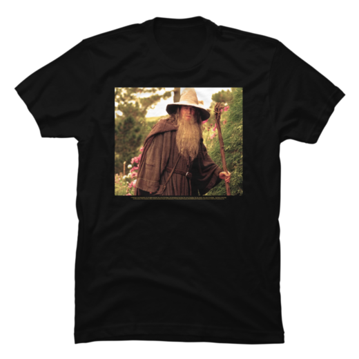 Футболка PrintBro The Lord Of The Rings Traveling Gandalf